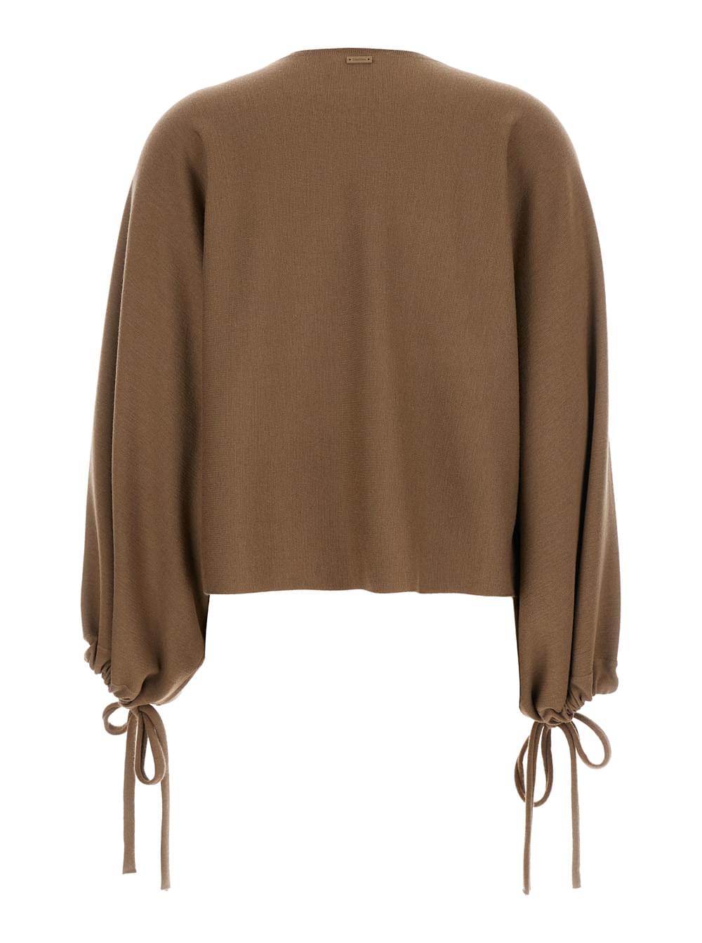 Max Mara Women 'Frais' Brown Crewneck Sweater With Cuffs With Ties In Wool Woman